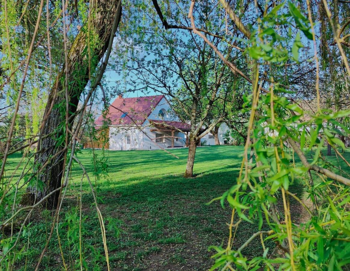 Domaine Saint Loup - 10Min Beaune Екстериор снимка